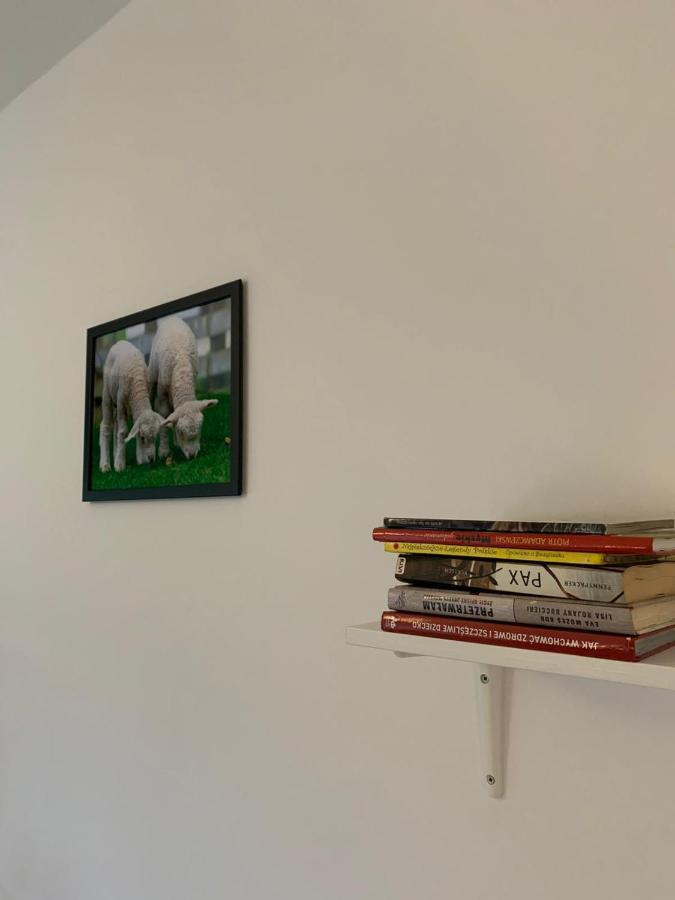 Noclegi Little Sheep Chojna Exterior foto