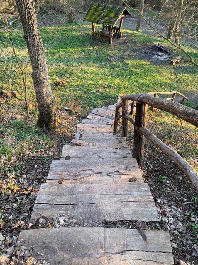 Noclegi Little Sheep Chojna Exterior foto