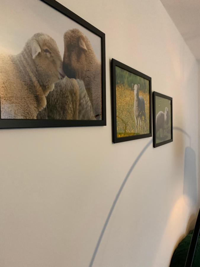 Noclegi Little Sheep Chojna Exterior foto